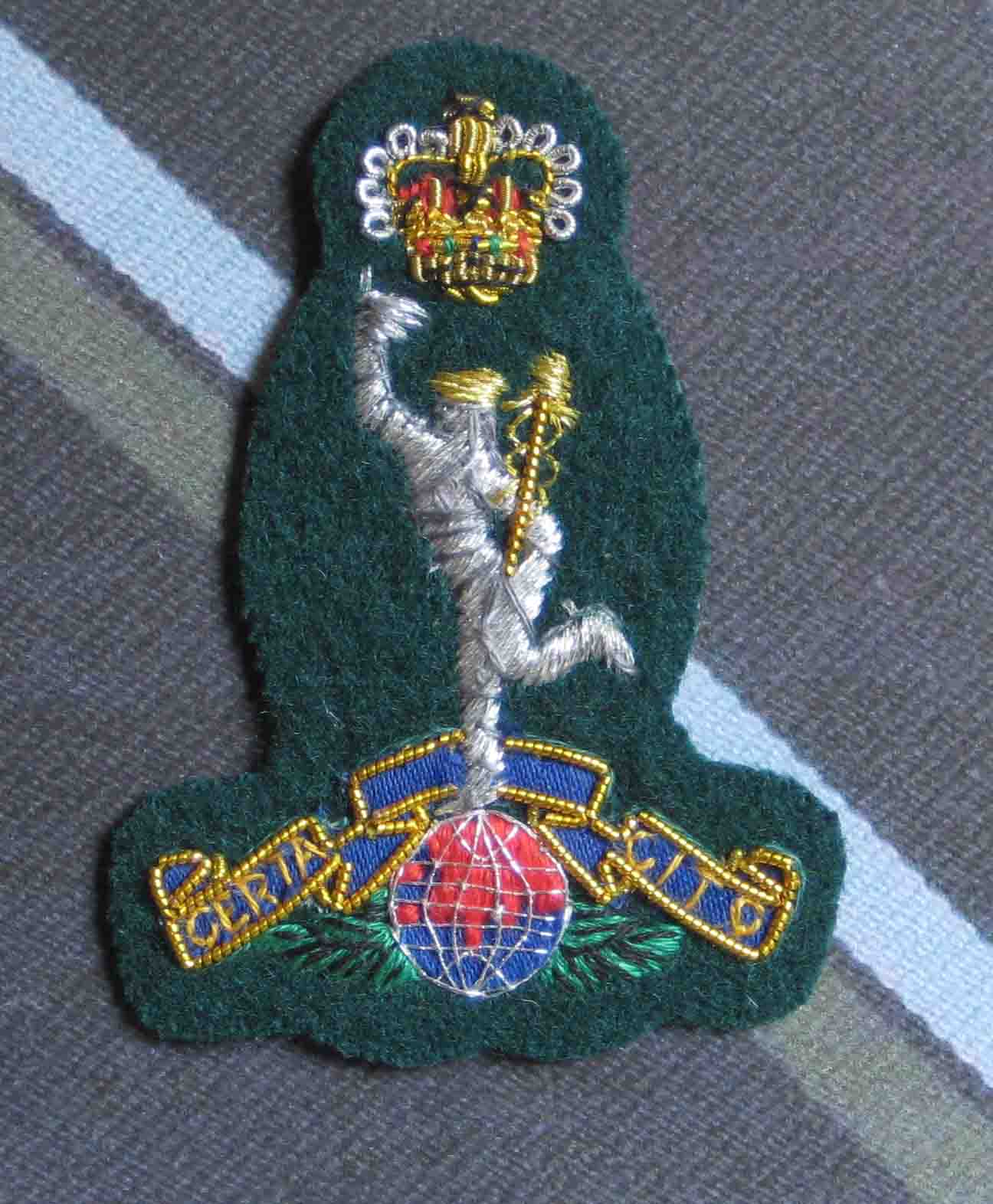 Uksf Badge