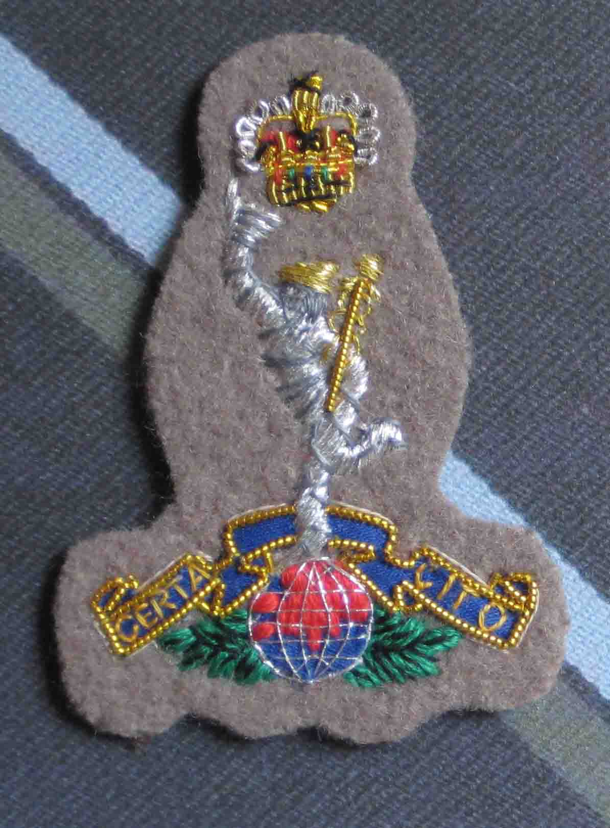 Uksf Badge